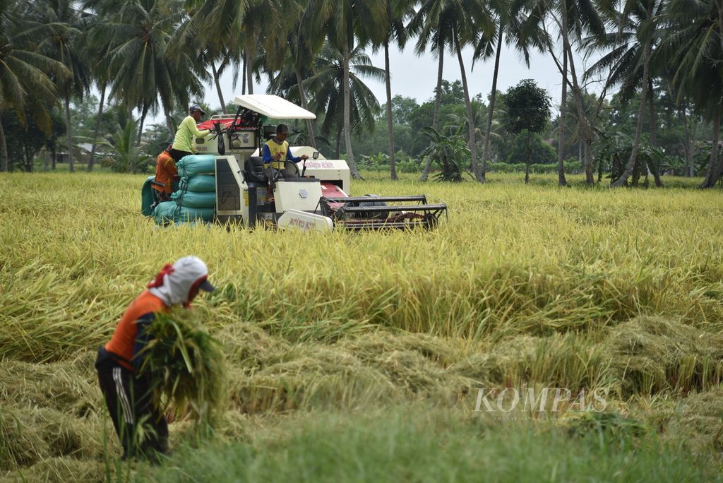 Petani menggunakan alat komben (<i>combine harvester</i>) untuk memanen di persawahan Desa Purwosari, Kecamatan Tanjung Lago, Sumatera Selatan, Senin (26/2/2024).