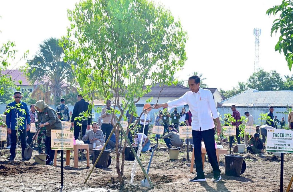 Presiden Joko Widodo bersama masyarakat Kota Kupang melaksanakan kegiatan tanam pohon di lahan terbuka yang berlokasi di Jalan El Tari, Kota Kupang, Nusa Tenggara Timur, Rabu (6/12/2023).