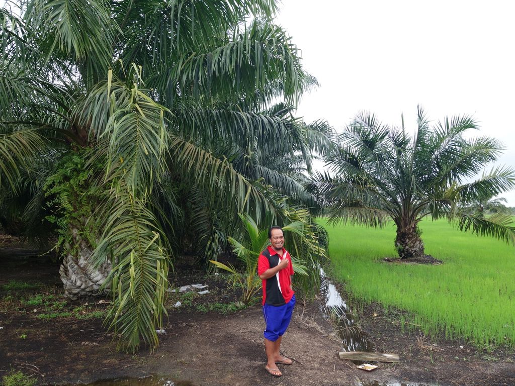 Muklis Suryadi (38), petani Banyuasin, Sumatera Selatan, di sawah yang tengah ia persiapkan beralih ke sawit akhir musim tanam ini, Desember 2021. Dengan kondisi pupuk bersubsidi yang semakin terbatas, ia menilai sawit akan lebih menguntungkan.