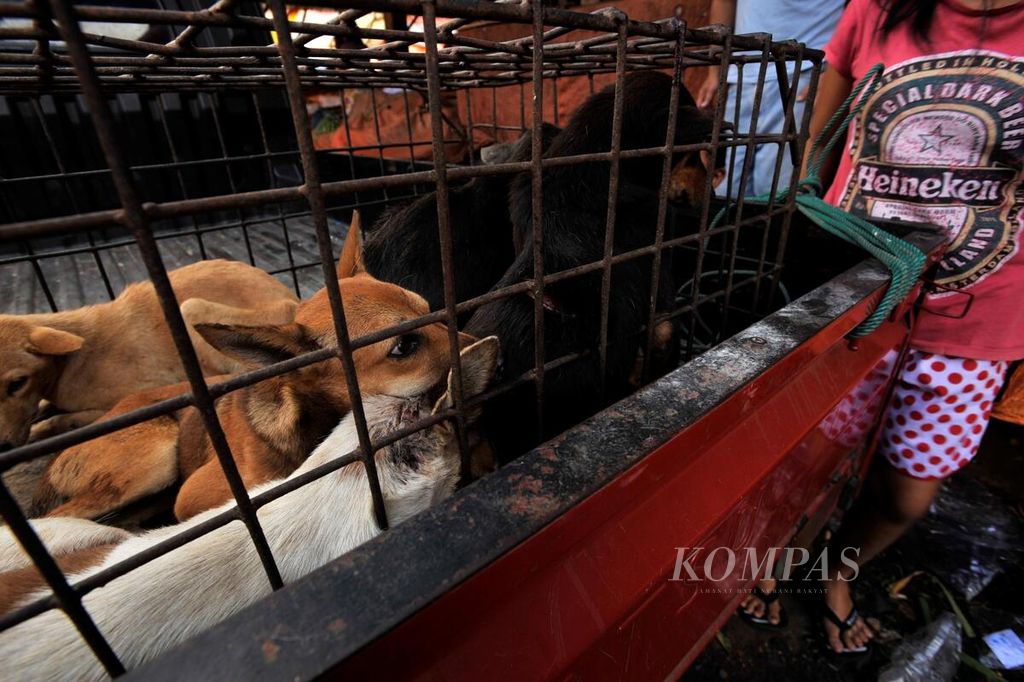 Sejumlah anjing hidup ditawarkan untuk dijual dagingnya di Pasar Beriman, Tomohon, Sulawesi Utara, 29 Juli 2012. 