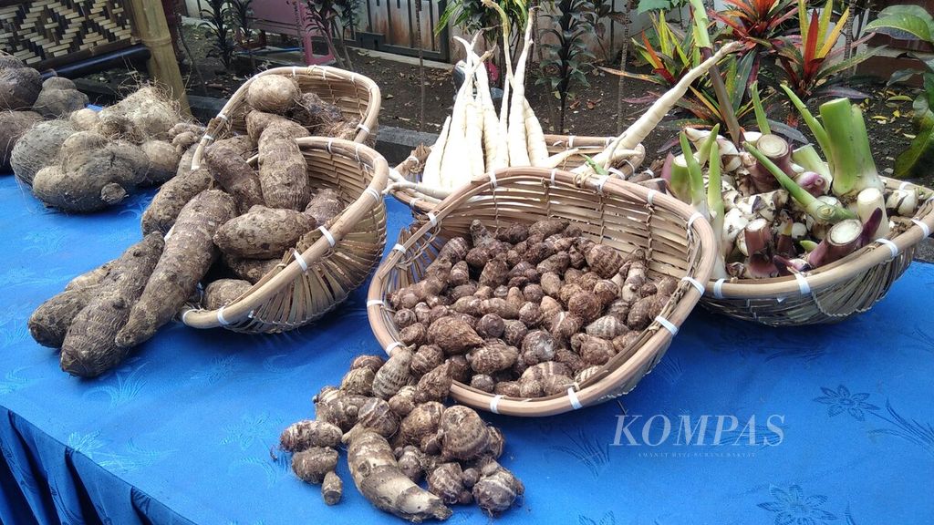 Various tuber crops at the Research Institute for Various Nuts and Tubers (Balitkabi) in Malang, East Java, on Wednesday (12/8/2020),