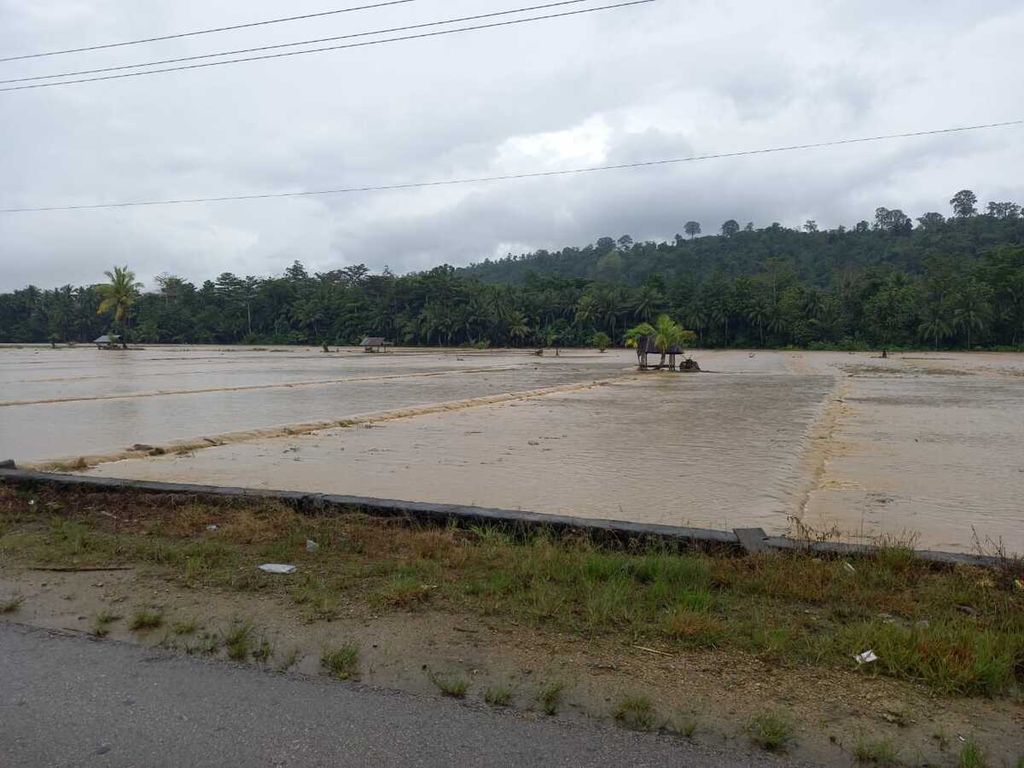 Ratusan hektar sawah warga terendam banjir yang terjadi di sejumlah kelurahan di Kecamatan Bungi, Baubau, Sulawesi Tenggara, Jumat (24/6/2022). Selain ratusan warga, sebanyak 200 hektar sawah terendam banjir dan terancam gagal panen. Banjir ditengarai akibat kerusakan hulu akibat penebangan hutan secara liar.
