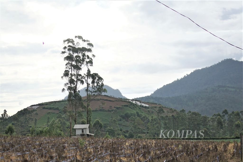 Terlihat sebuah bukit yang telah dibuka menjadi lahan pertanian di Kabupaten Bandung, Jawa Barat, pada Minggu (5/2/2023). Lahan dengan lereng lebih dari 40 persen seharusnya diatur menjadi ruang perlindungan.