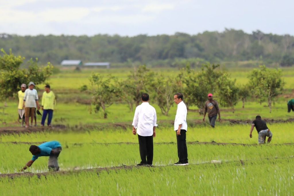 Presiden Joko Widodo meninjau kawasan <i>food estate</i> padi di Desa Telaga Sari, Distrik Kurik, Kabupaten Merauke, Papua Selatan, Selasa (23/7/2024).