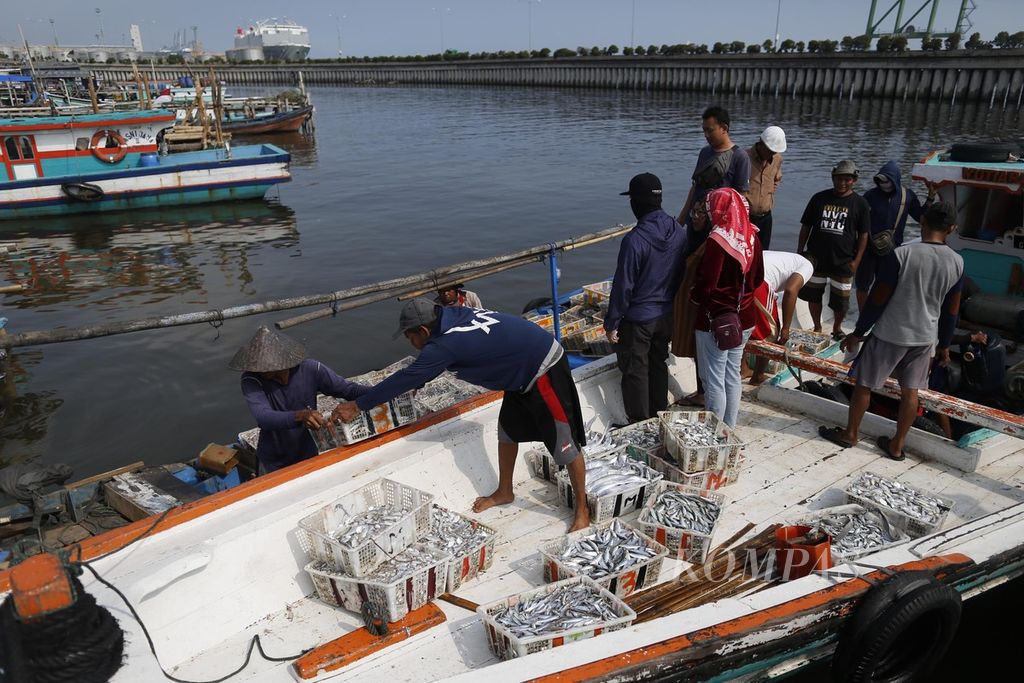 Nelayan membongkar hasil melautnya di Dermaga Kali Baru, Cilincing, Jakarta, Rabu (17/8/2022). Para nelayan mengeluhkan sulitnya mendapatkan pasokan BBM bersubsidi khusus untuk nelayan. Agar tetap dapat melaut, terpaksa para nelayan membeli BBM di SPBU dengan harga normal.