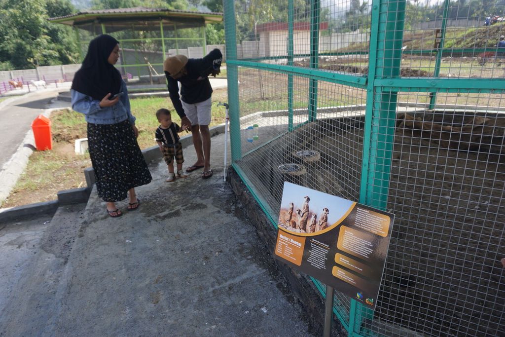 Pengunjung melihat satwa di kebun binatang mini D'las Zoo di Wisata Lembah Asri Serang atau D'Las, Purbalingga, Jawa Tengah, Senin (10/7/2023).