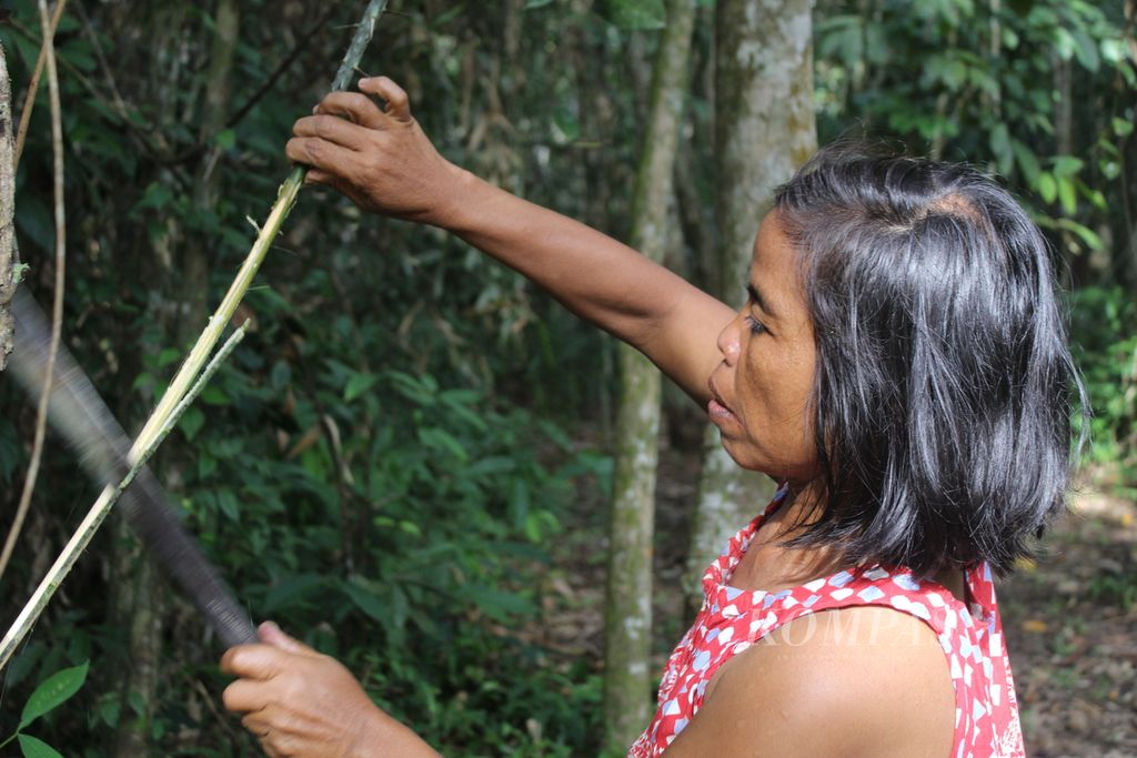 Yaya (49), warga Desa Kalumpang, Kabupaten Kapuas, Kalimantan Tengah, mencari rotan di hutan, Jumat (12/1/2024). Dengan tangan kosong ia menebas dan membersihkan rotan yang penuh duri.