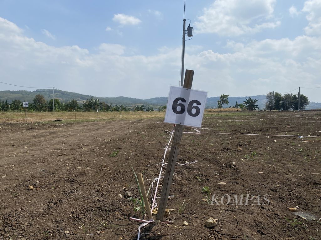 Patok-patok nomor dipasang di lokasi relokasi perumahan untuk warga Dusun Kedungglatik, Desa Candirejo, Kecamatan Pringapus, Kabupaten Semarang, Jawa Tengah, yang terdampak pembangunan Bendungan Jragung, Rabu (31/7/2024). Pembangunan bendungan itu akan menenggelamkan dusun yang ditinggali oleh lebih dari 100 keluarga. 