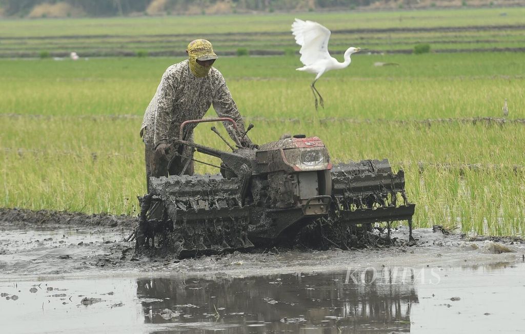 Petani membajak sawah dengan traktor di Kecamatan Buduran, Kabupaten Sidoarjo, Jawa Timur, Senin (5/9/2022). Naiknya harga BBM subsidi membuat ongkos produksi mengolah lahan pertanian menjadi naik. 
