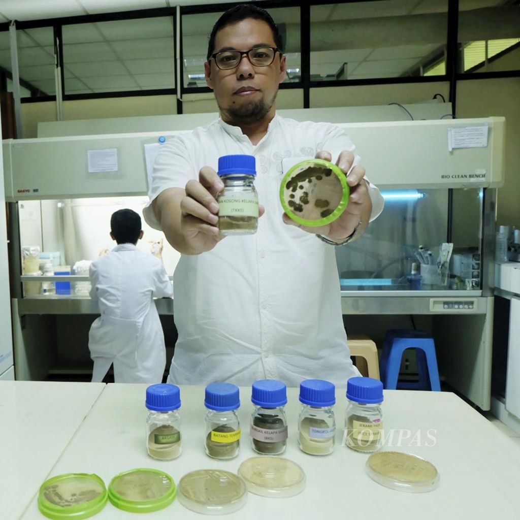 Manajer Proyek iBioL (Innovative Bio-Production in Indonesia LIPI) Yopi Sunarya, Rabu (24/8), di Laboratorium Biokatalis dan Fermentasi, Pusat Penelitian Bioteknologi LIPI, Cibinong Science Center-Botanical Garden, Bogor, Jawa Barat, menunjukkan koleksi isolat Actinomycetes dalam cawan-cawan petri dan sampel biomassa non-pati di botol-botol. LIPI bekerja sama dengan Universitas Kobe, Jepang, sedang mengembangkan sistem produksi bioetanol dengan bahan baku biomassa memanfaatkan mikroba, di antaranya Actinomycetes. 