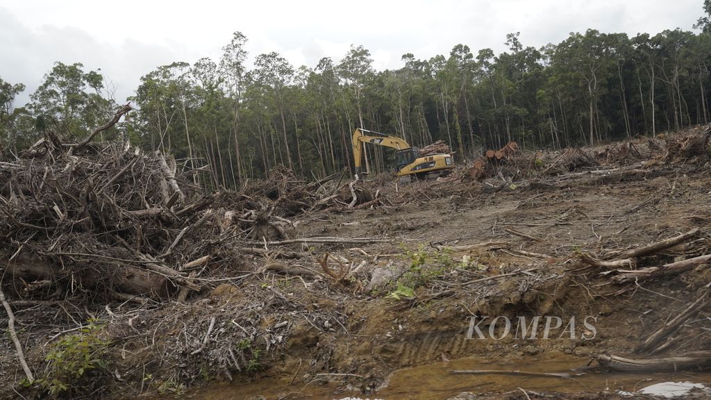 Tebangan hutan di sekitar Kampung Zanegi, Distrik Animha, Kabupaten Merauke, Papua, Rabu (9/11/2022). Masuknya sejumlah perusahaan yang mendapatkan konsesi HTI merupakan bagian dari program Merauke Integrated Food and Energy Estate (MIFEE). Sebagian hutan di Zanegi telah bersalin rupa menjadi hutan industri, khususnya akasia dan eucalyptus. Selama 12 tahun terakhir, kondisi masyarakat tidak membaik, malah mengalami kemunduran kualitas kehidupan.