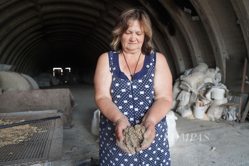 ILubov Ivanivna, 62, shows rotting wheat in her barn in the village of Mala Rohan, Kharkiv province, Ukraine, July 5, 2022. As a result of Russian artillery attacks on the village in February-March 2022, several parts of Ivanivna's wheat barn were damaged and caused 50 tons of her crops to rot.