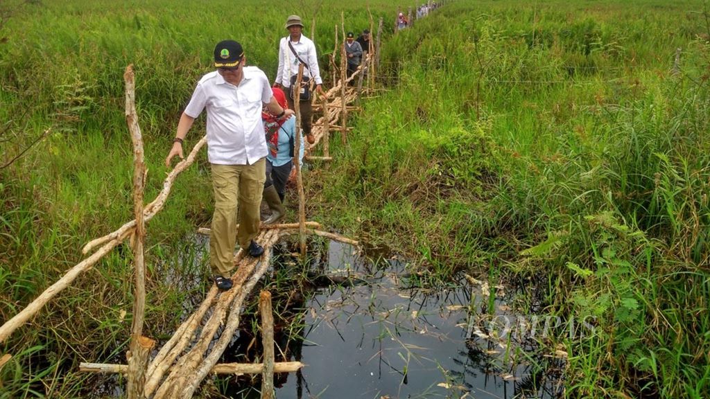 Kepala Badan Restorasi Gambut (BRG) Nazir Foead berjalan di jembatan kayu di lahan PT Hutan Amanah Lestari (HAL), perusahaan pemegang izin resotasi ekosistem, di Desa Kelanis, Kabupaten Barito Timur, Kalimantan Tengah, Senin (30/1/2017). 