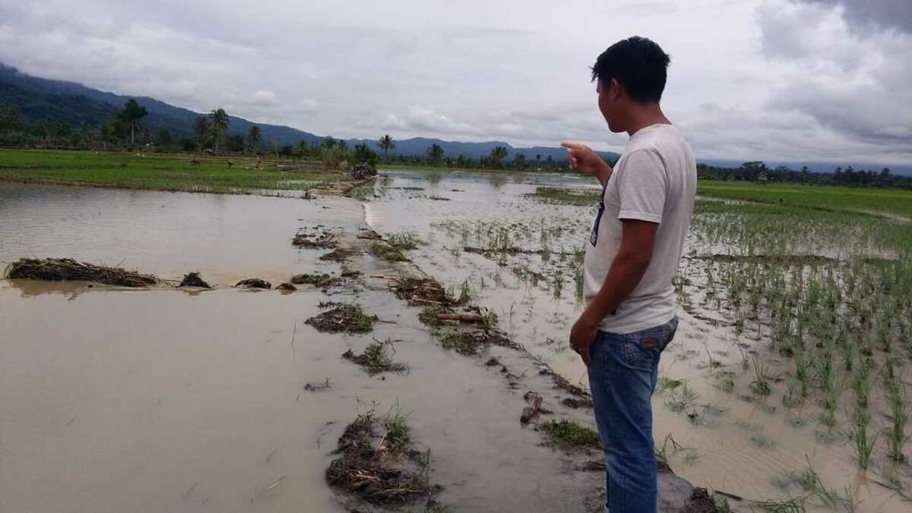 Banjir merendam persawahan di Kecamatan Pasemah Air Keruh, Kabupaten Empat Lawang, Sumatera Selatan, Sabtu (25/1/2020).