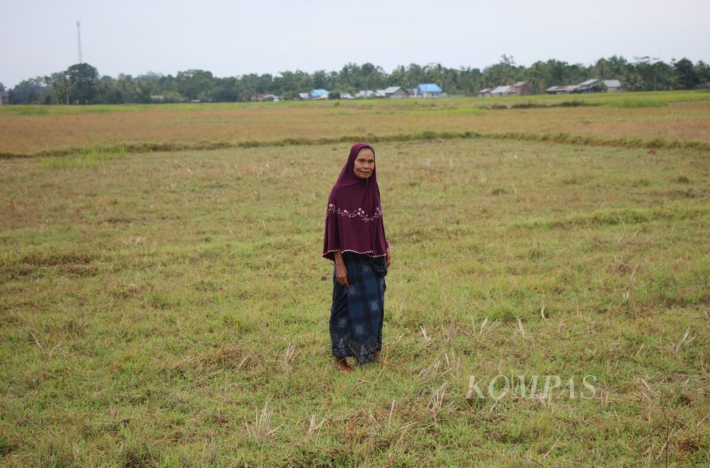 Salmiah (60), petani asal Desa Alue Ie Mirah, Kecamatan Nibong, Kabupaten Aceh Utara, Provinsi Aceh, saat berada di sawahnya, Minggu (18/6/2023). Sawah milik Salmiah kini tidak bisa digarap karena tidak teraliri air.