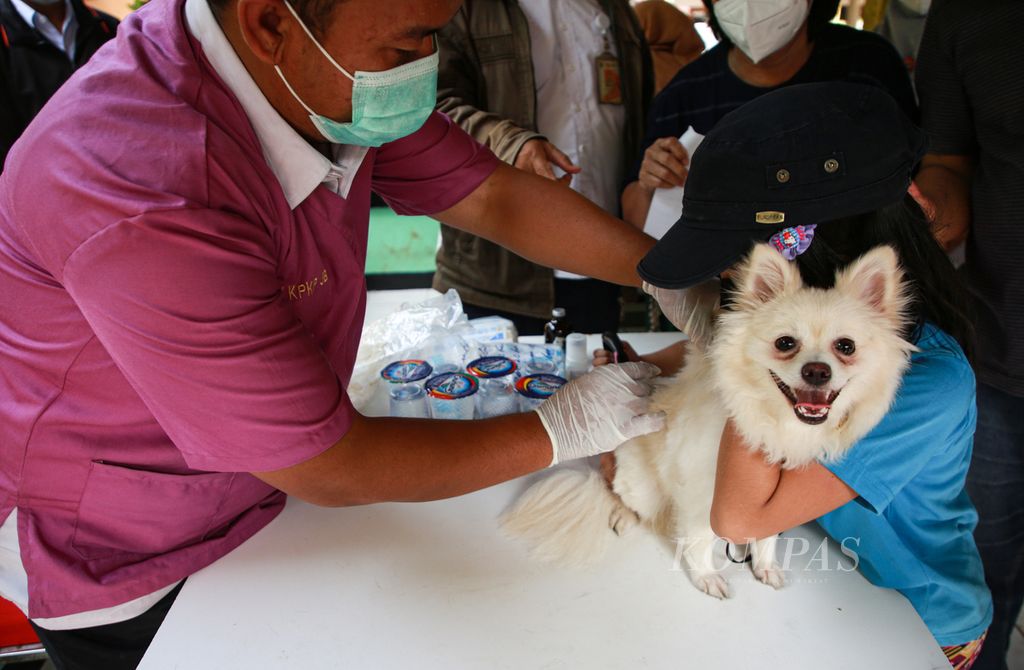 Petugas menyuntikkan vaksin rabies ke anjing peliharaan warga dalam kegiatan vaksinasi rabies gratis di RW 003 Kelurahan Meruya Selatan, Kecamatan Kembangan, Jakarta Barat, Rabu (27/7/2022). Vaksinasi rabies gratis diperuntukkan bagi hewan peliharaan, seperti kucing, anjing, kera, dan musang.
