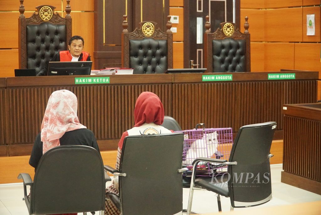 Hakim tunggal Pengadilan Negeri Padang Juandra memintai keterangan saksi dalam sidang tindak pidana ringan tiga wanita penganiaya kucing di Kota Padang, Sumatera Barat, Kamis (7/9/2023). 