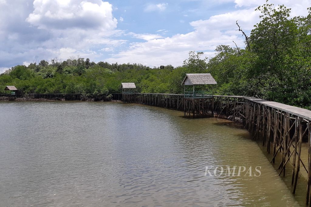 Pemandangan wisata hutan mangrove di Kelurahan Mentawir, Kecamatan Sepaku, Penajam Paser Utara, Kalimantan Timur, Minggu (18/9/2022).