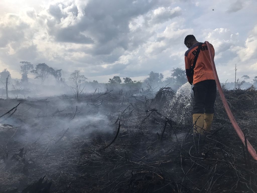 Seorang petugas BPBD Kabupaten Kotawaringin Barat memadamkan api yang membakar lahan kosong di Desa Nataiu Baru, Kecamatan Arut Selatan, Kotawaringin Barat, Kalteng, pada Senin (2/1/2023). Setidaknya 21 hektar terbakar saat itu.