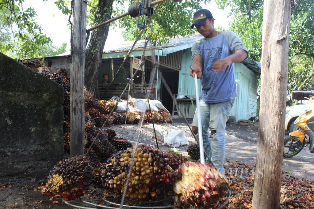 Salah satu pengepul buah tandan sawit di Kota Palangkaraya, Kalimantan Tengah, menimbang buah tandan sawit milik petani pada Selasa (26/4/2022).