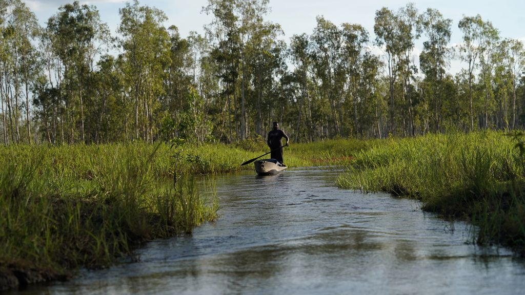 Warga menunggu jaring ikan di rawa-rawa di pinggir Sungai Kumbe di Kampung Baad, Distrik Animha, Kabupaten Merauke, Papua, Sabtu (12/11/2022).