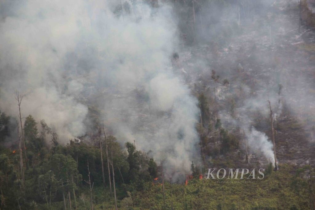 Kebakaran lahan di Kecamatan Tebing Tinggi Timur, Kabupaten Meranti, Riau, pada Februari 2018. Lahan yang terbakar masuk dalam konsesi Badan Restorasi Gambut. Lahan yang terbakar berada dekat dengan areal perkebunan sagu PT NSP yang pernah terbakar pada tahun 2015.