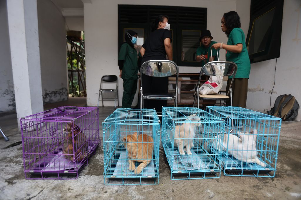 Residents bring their pets to get rabies vaccination at the Yogyakarta City Animal Polyclinic, Yogyakarta, Tuesday (20/2/2024).