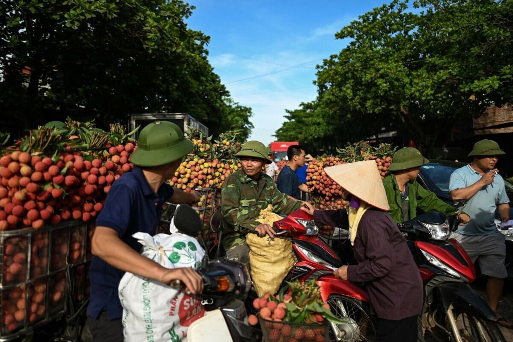 Petani di Vietnam bersiap mengangkut buah leci yang baru dipanen di Luc Ngan, Provinsi Bac Giang, 9 Juni 2020.