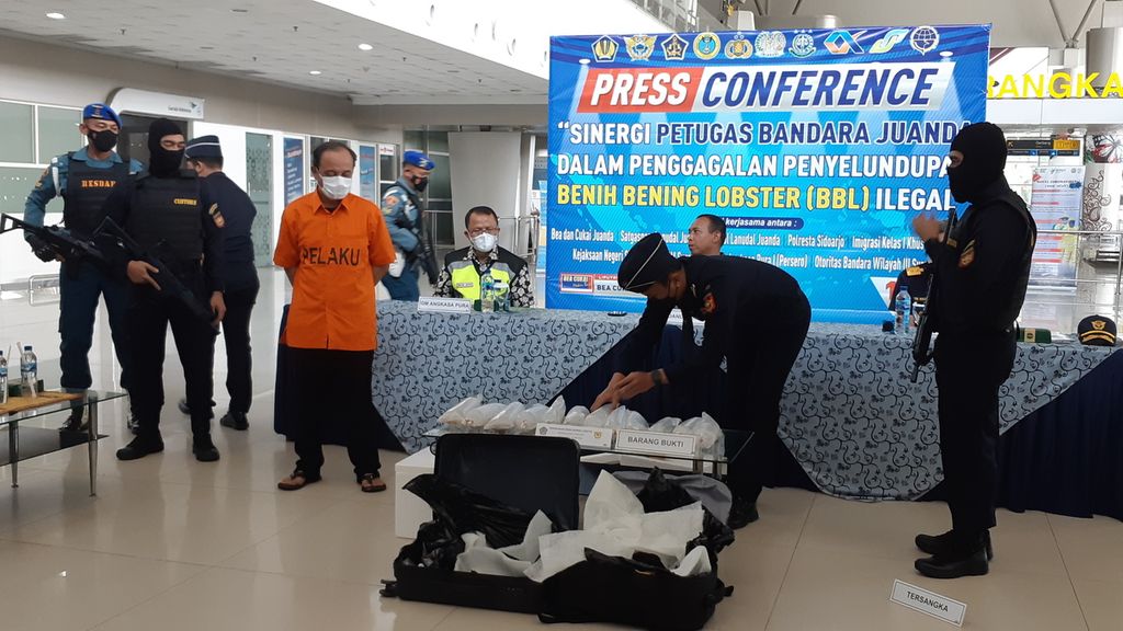 Aparat menunjukkan barang bukti benih lobster yang akan diselundupkan melalui Bandara Juanda, Surabaya, Selasa (17/5/2022).