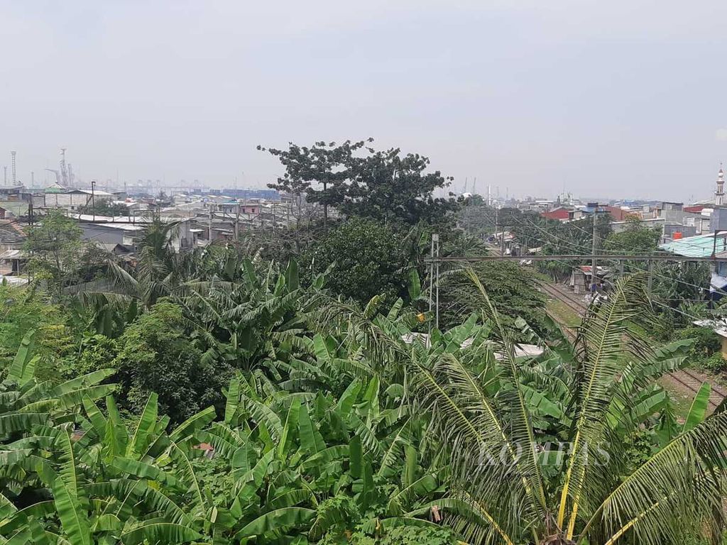 Kondisi Kampung Bahari, Tanjung Priok, Jakarta Utara, pada Rabu (16/3/2022) siang. Kampung tersebut selama ini dikenal sebagai sarang narkoba.