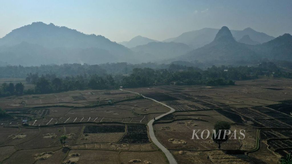 Foto udara areal persawahan seusai masa panen, seperti terlihat di Desa Bantar Kuning, Kecamatan Cariu, Kabupaten Bogor, Jawa Barat, Minggu (2/8/2020). Berdasarkan pemantauan BMKG, sebagian besar wilayah Indonesia telah memasuki musim kemarau dan berisiko mengalami kekeringan. 