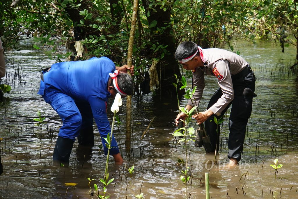 Para personel Polda Sulawesi Utara menanam 1.000 bibit pohon bakau atau mangrove di pantai yang terletak di bilangan Molas, Bunaken, Manado, Rabu (16/8/2023). Kegiatan itu adalah bagian dari penanaman 21 juta pohon secara serentak di seluruh Indonesia yang dimotori Polri, termasuk 16.850 pohon di Sulut.