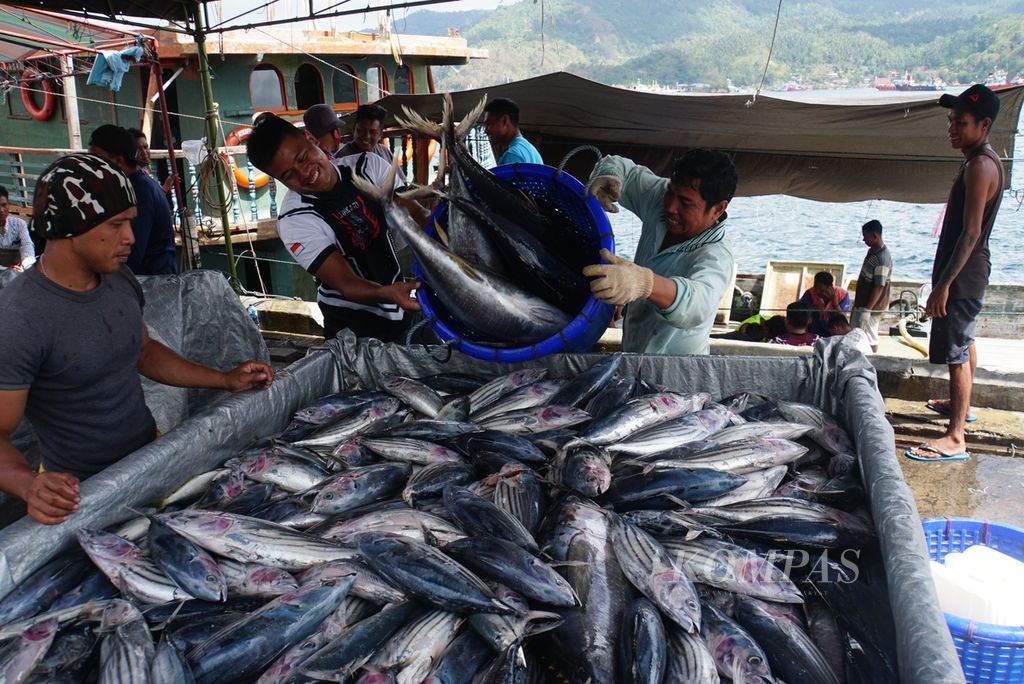 Para pekerja membongkar ikan hasil tangkapan dari Kapal Motor Sentosa XVIII berbobot 131 gros ton di Pelabuhan Perikanan Samudera Bitung, Sulawesi Utara, Jumat (20/10/2023), dan memuatnya ke mobil bak untuk dibawa ke pabrik setempat. Sepanjang semester I-2023, 21.100 ton ikan didaratkan di PPS Bitung.