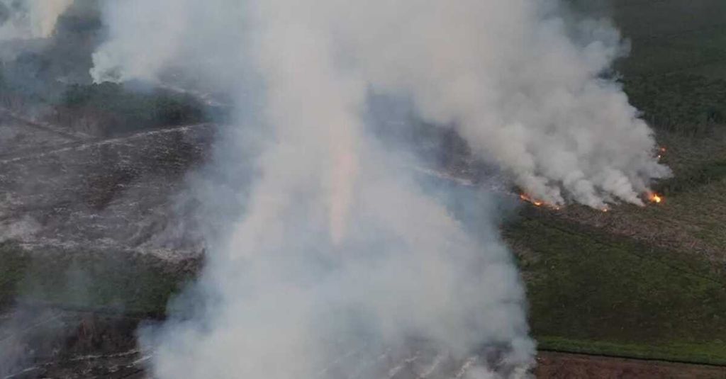 Api membakar hutan gambut di kawasan hutan produksi yang dapat dikonversi (HPK) di Kecamatan Silaut, Pesisir Selatan, Sumatera Barat, Rabu (24/5/2023). Kebakaran diduga sengaja dilakukan warga untuk membuka lahan baru kebun kelapa sawit.