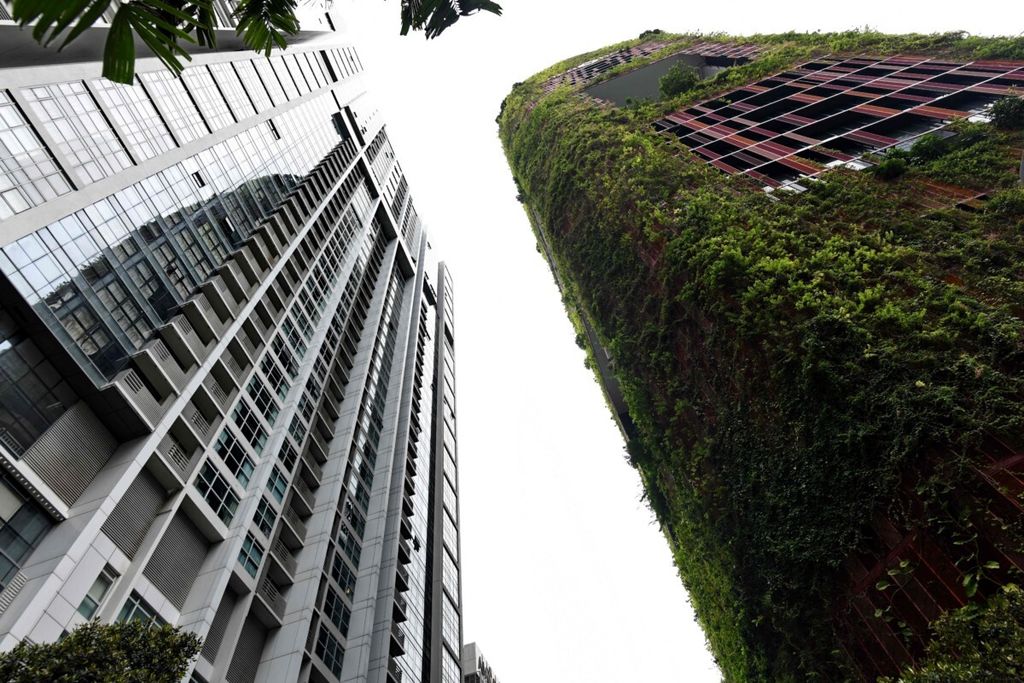 Pemandangan apartemen perumahan (kiri) dan hotel Oasia, Singapura, dengan fasadnya yang dilapisi tanaman hijau, Selasa (19/6/2018).