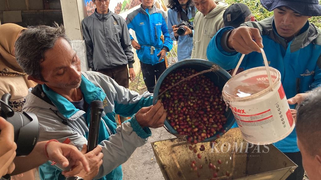 Petani Desa Ibun, Kecamatan Ibun, Kabupaten Bandung, Jawa Barat, menunjukkan proses pengolahan biji kopi yang dihasilkan dari perhutanan sosial yang mereka kelola, di Desa Ibun, Jumat (5/5/2023). 