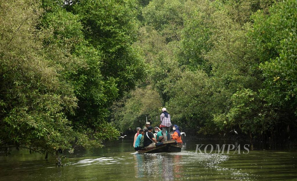Menjelajah hutan mangrove Wonorejo.