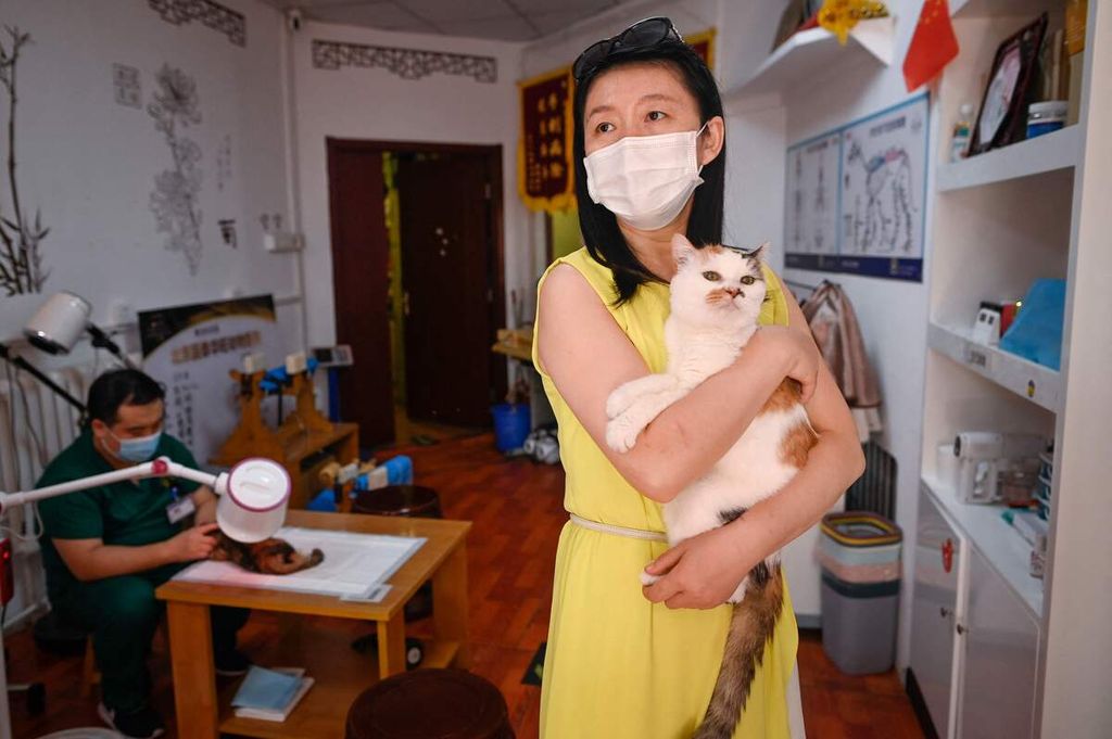 Seorang perempuan menggendong kucing piaraannya sebelum kucingnya menjalani pengobatan akupunktur di sebuah klinik hewan di Beijing, China, 23 Juli 2022, 