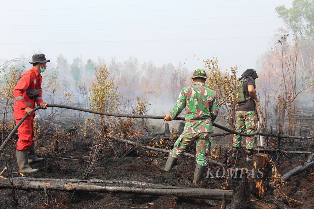 Tim gabungan pemadam kebakaran memadamkan api di Desa Tanjung Taruna, Kabupaten Pulang Pisau, Kalimantan Tengah, Minggu (15/11/2023). Karhutla di Kalteng sudah menghanguskan setidaknya 18.000 hektar hutan dan lahan.