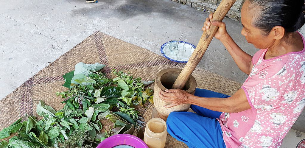Raihina (54) memanfaatkan ratusan jenis tumbuhan sebagai ramuan obat bagi masyarakat Desa Jambi Kecil, Kecamatan Maro Sebo, Kabupaten Muaro Jambi, Jambi, 12 Maret 2020. Pengetahuan lokal mengolah bahan obat-obatan itu telah diwariskan turun-temurun.