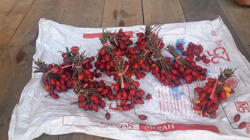 Buah <i>bangkinang</i>, yang merupakan buah hutan di Kalimantan Tengah yang memiliki rasa asam dan manis ini, dijual oleh warga sekitar, Jumat (22/7/2022).