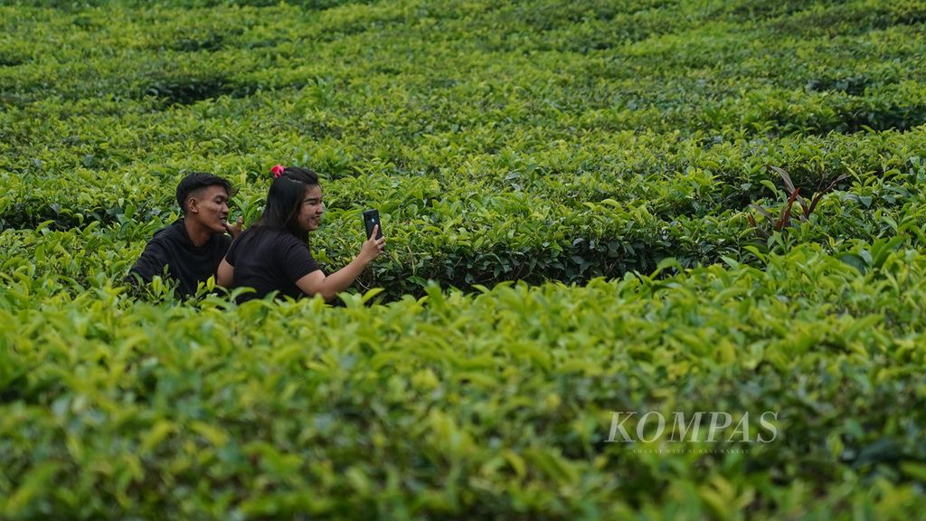 Warga berwisata di kebun teh di Puncak, Kabupaten Bogor, Jawa Barat, pada libur Lebaran, Rabu (4/5/2022). 