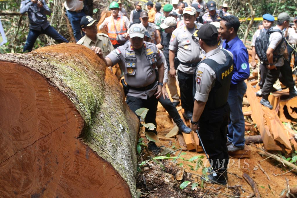 Kepala Kepolisian Daerah Kalimantan Tengah Brigadir Jenderal Anang Revandoko (tengah) sedang memantau lokasi pembalakan liar di Kecamatan Seruyan Tengah, Kabupaten Seruyan, Kalimantan Tengah, pada Selasa (12/9/2017). Polisi menyita 2.266 potong kayu ilegal di lokasi tersebut.
