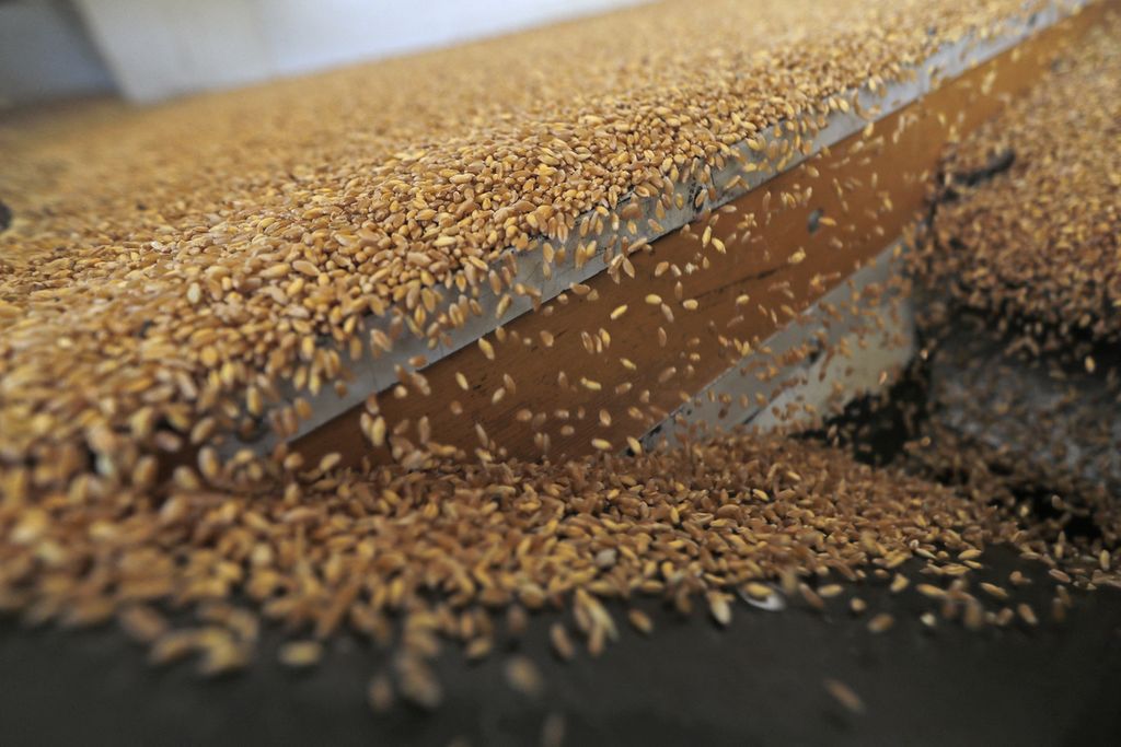 Foto pada 15 Juli 2020 memperlihatkan menir gandum digiling saat dipersiapkan menjadi bulgur di kota Marjayoun, Lebanon. Serangan Rusia ke Ukraina berarti berkurangnya sajian roti di atas meja di Mesir, Lebanon, Yaman, dan negara-negara lain di kawasan Timur Tengah. 