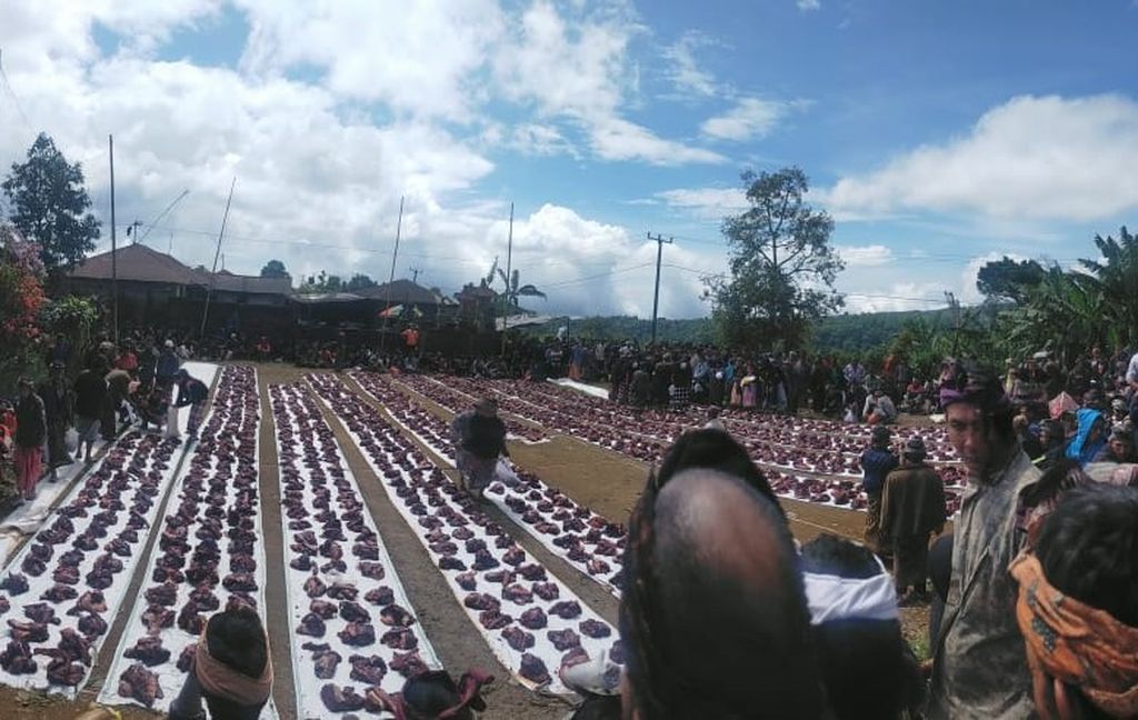 Di Desa Tambakan, Buleleng, Bali, terdapat tradisi Maturan Kelaci, mempersembahkan anak sapi untuk membayar kaul warga. Ritual ini biasanya digelar pada saat Tilem (bulan mati), setiap 15 hari sekali oleh warga yang melaksanakan kaul, Jumat (23/8/2024).