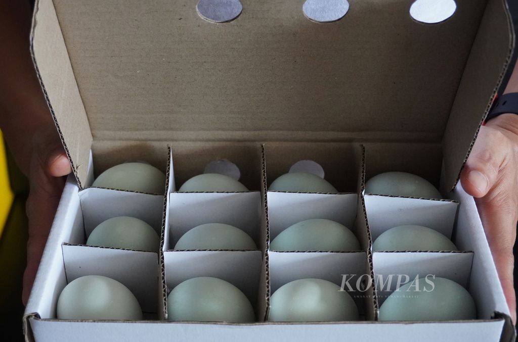 Pengelola toko menunjukkan telur asin yang dijual di tokonya di Desa Pebatan, Kecamatan Wanasari, Kabupaten Brebes, Jawa Tengah, Minggu (8/5/2022).