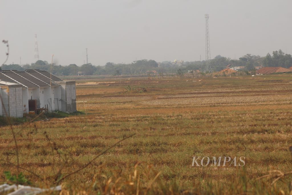 Kondisi sawah yang gersang akibat kemarau di Kecamatan Sendang Baru, Kabupaten Bekasi, Senin (9/10/2023). Sawah di daerah itu merupakan sawah tadah hujan sehingga ketika kemarau tiba, sawah akan kering.