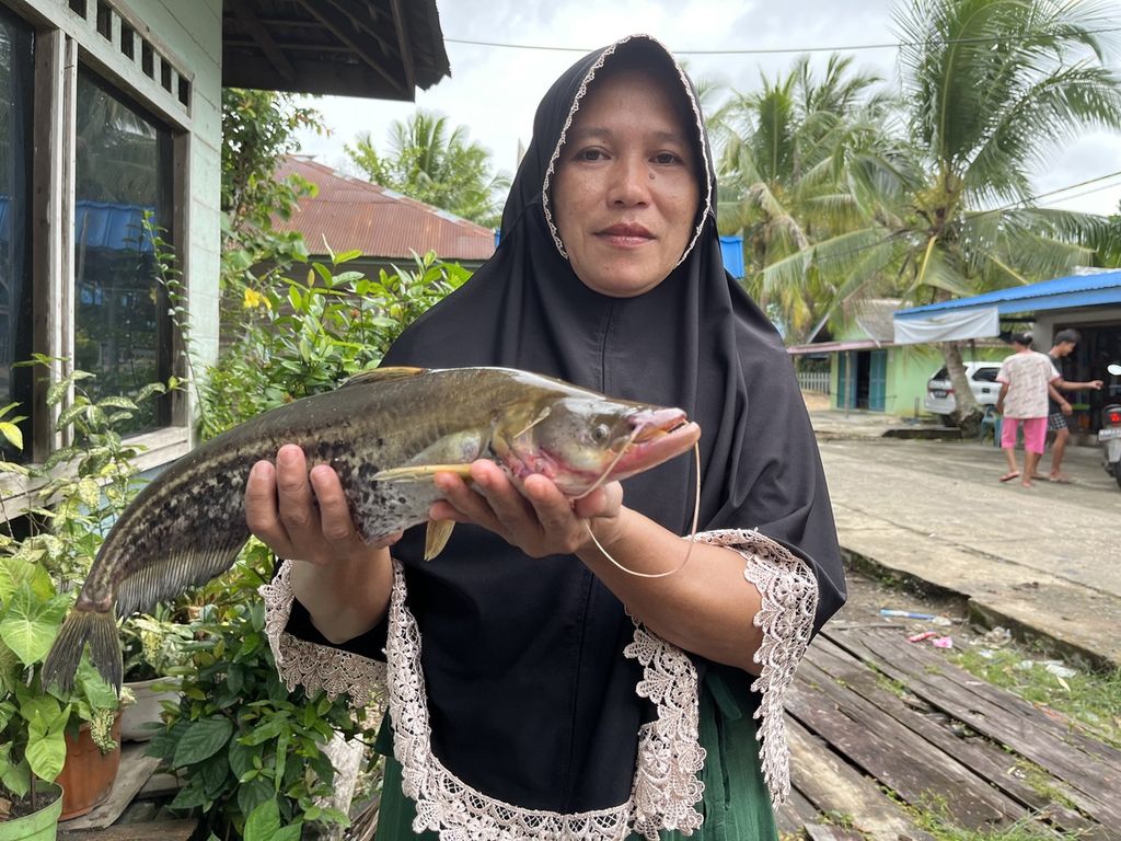 Warga Desa Kalumpang, Kabupaten Kapuas, menunjukkan ikan tapah (Wallago), yang banyak ditemukan di Sungai Kapuas, di sekitar desa mereka, Minggu (17/7/2022). Di desa ini ditemukan 71  jenis ikan yang biasa dikonsumsi masyarakat.