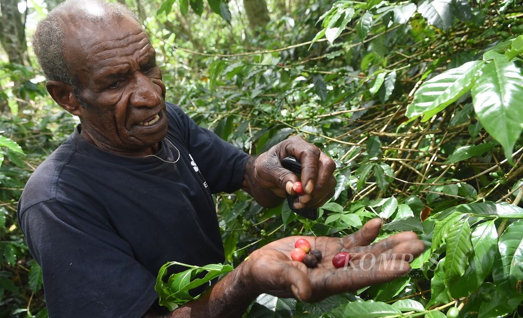 Petani kopi, Hubert Marian, di ladang kopinya di Distrik Wosilimo, Kabupaten Jayawijaya, Papua Pegunungan, Rabu (17/11/2021).