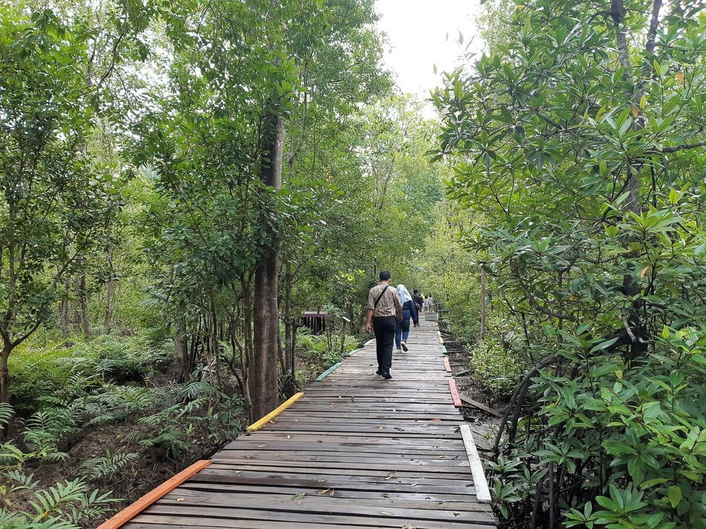 Suasana di hutan mangrove yang menjadi ekowisata di Pangkal Babu, Tanjung Jabung Barat, Jambi, 2 April 2023.
